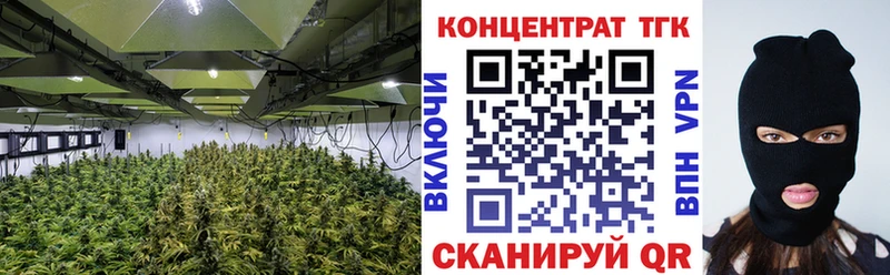 где можно купить наркотик  Пучеж  Дистиллят ТГК гашишное масло 