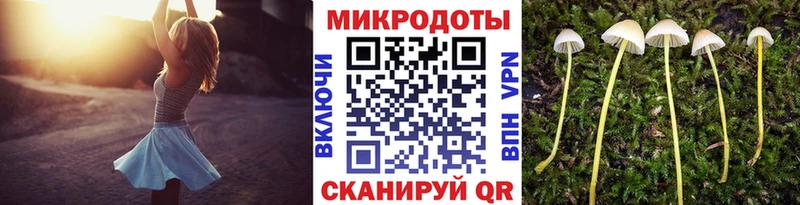 Галлюциногенные грибы мухоморы Пучеж